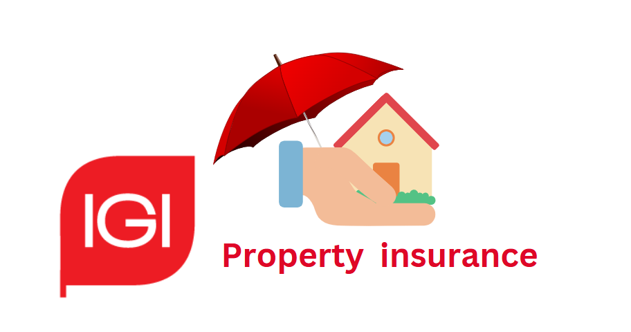 Property Insurance